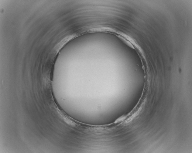 X0000062910897200602101829