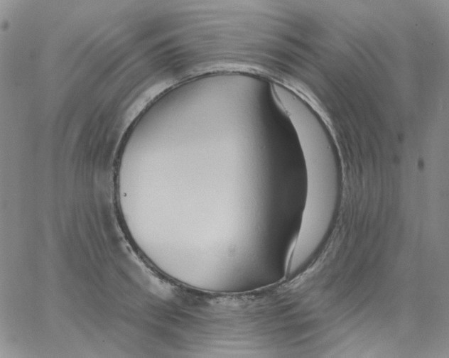 X0000062910898200602101829