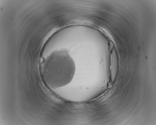 X0000062910899200602101829