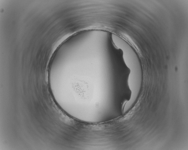 X0000062910900200602101829