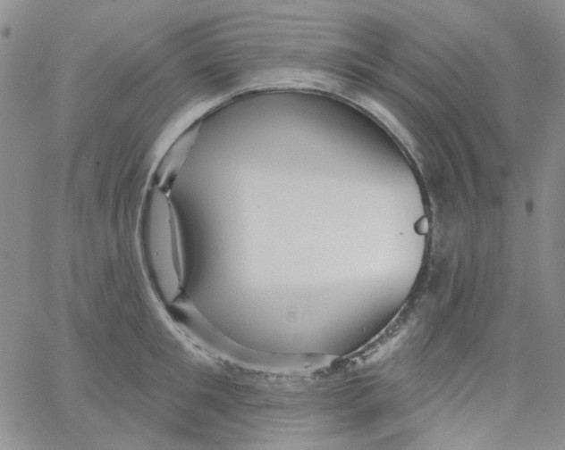 X0000062910901200602101829