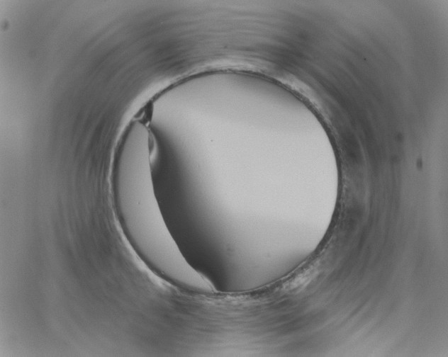 X0000062910902200602101829