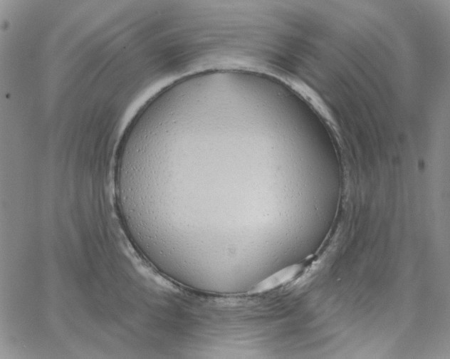 X0000062910904200602101829