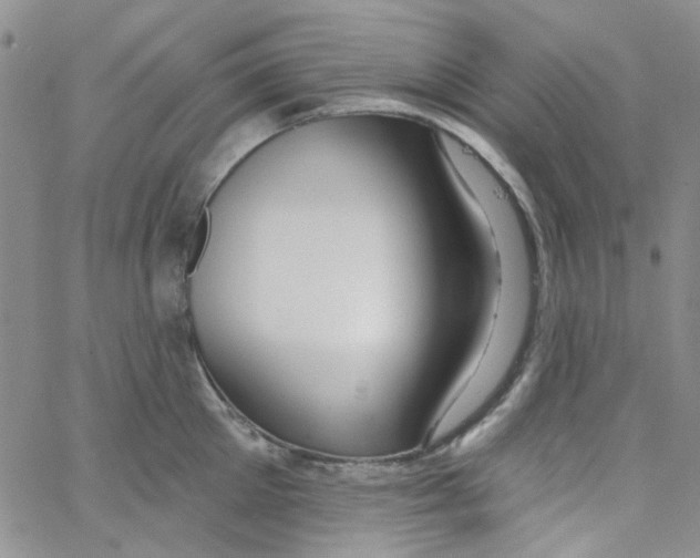 X0000062910905200602101829