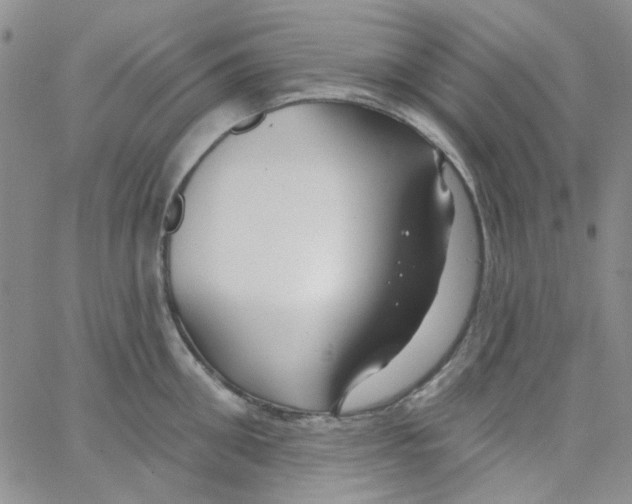 X0000062910906200602101829