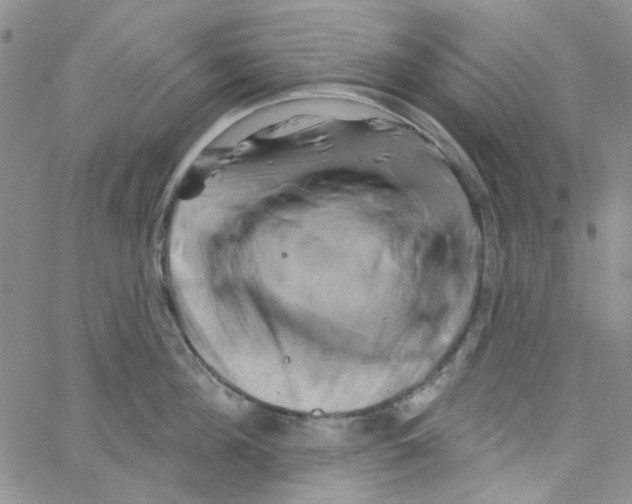 X0000062910908200602101829