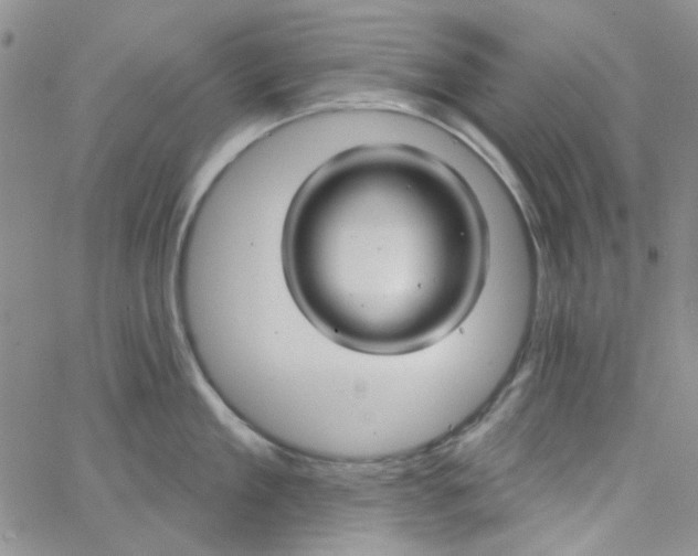 X0000062910909200602101829