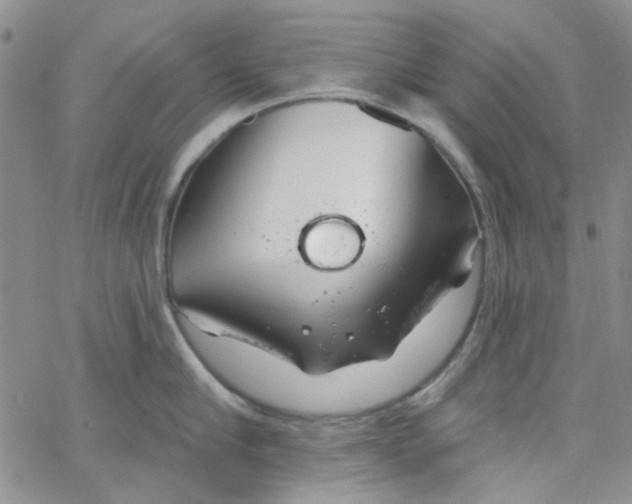 X0000062910910200602101829