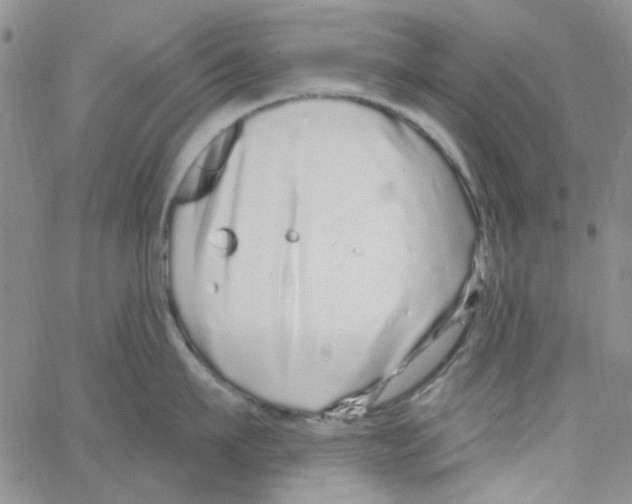 X0000062910911200602101829