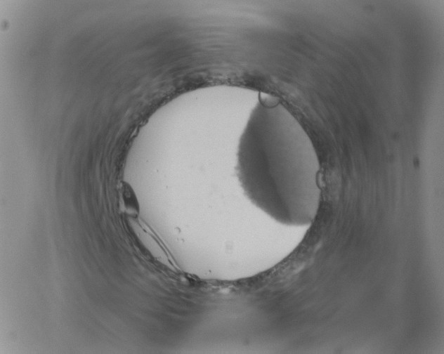 X0000062910913200602101828