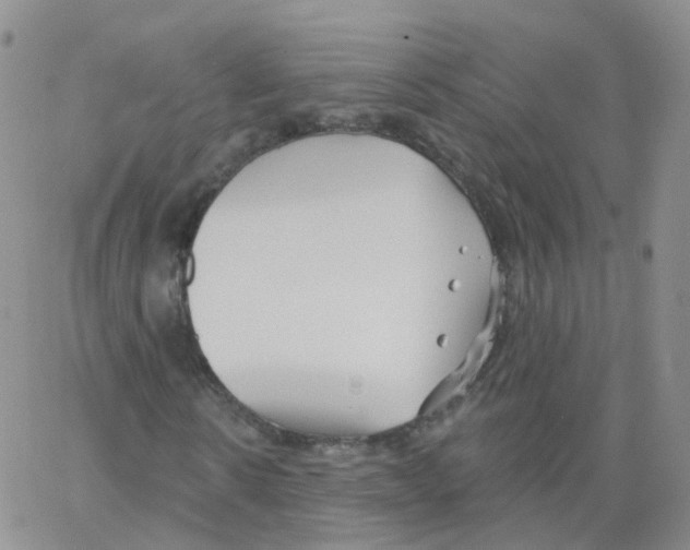 X0000062910914200602101828