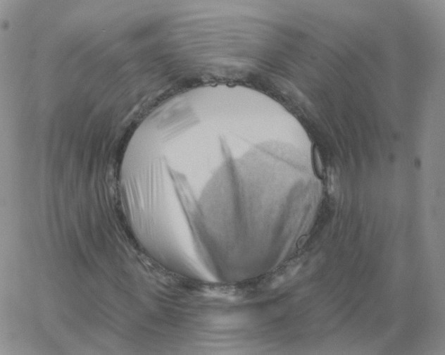 X0000062910915200602101828