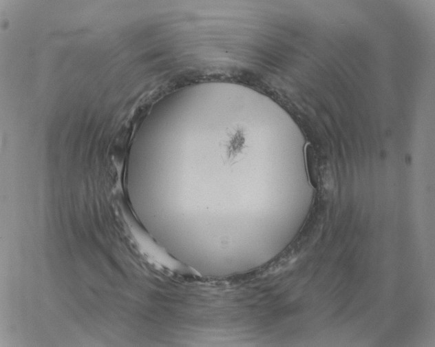 X0000062910916200602101828