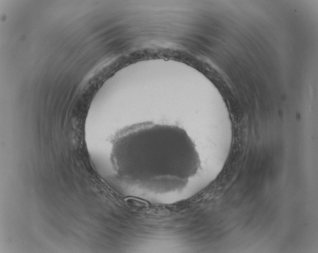 X0000062910919200602101828