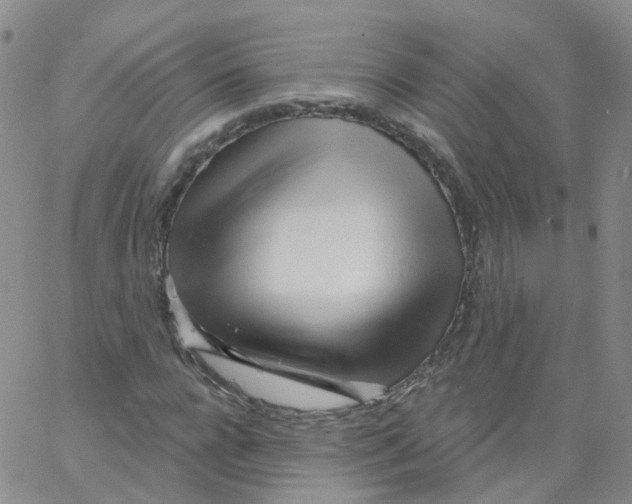 X0000062910920200602101828