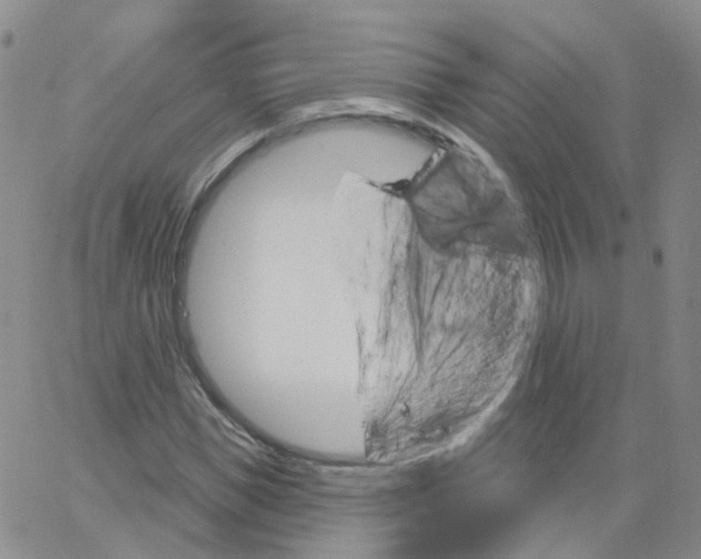 X0000062910921200602101828