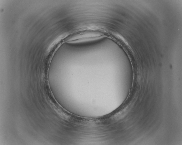 X0000062910922200602101828