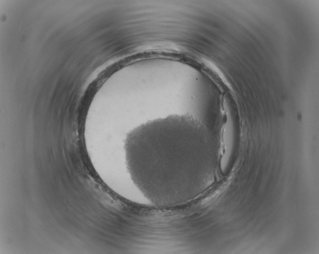 X0000062910923200602101828