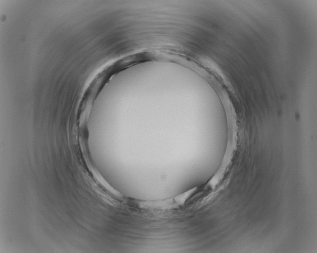 X0000062910924200602101828