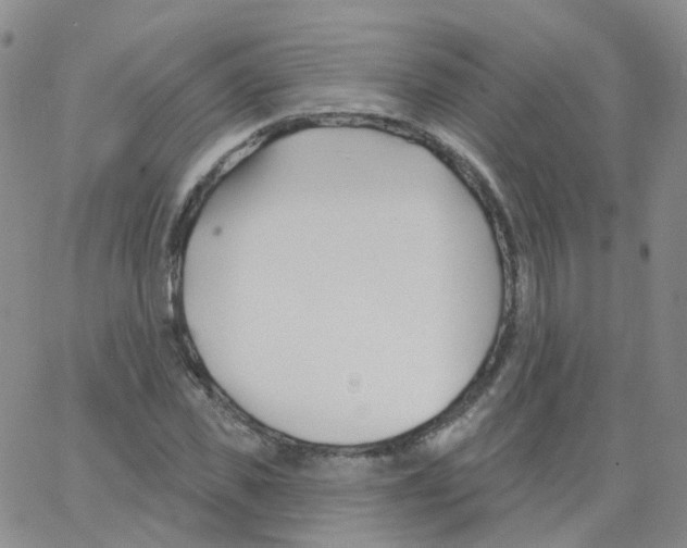 X0000062910925200602101828