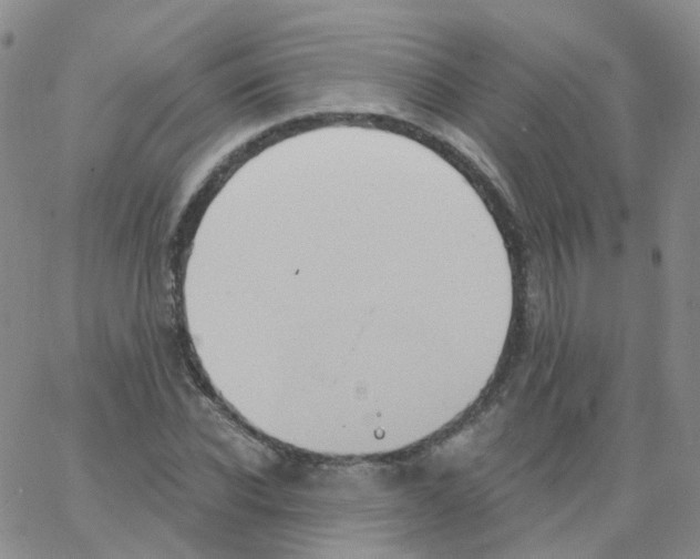 X0000062910926200602101828