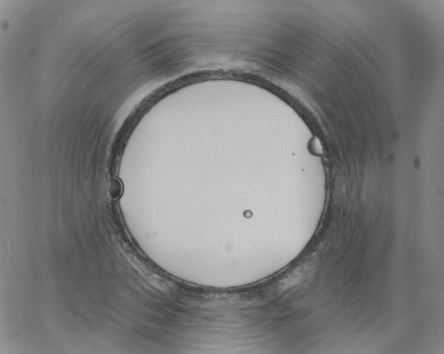 X0000062910927200602101828