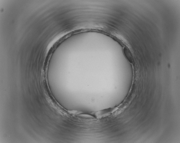 X0000062910928200602101828