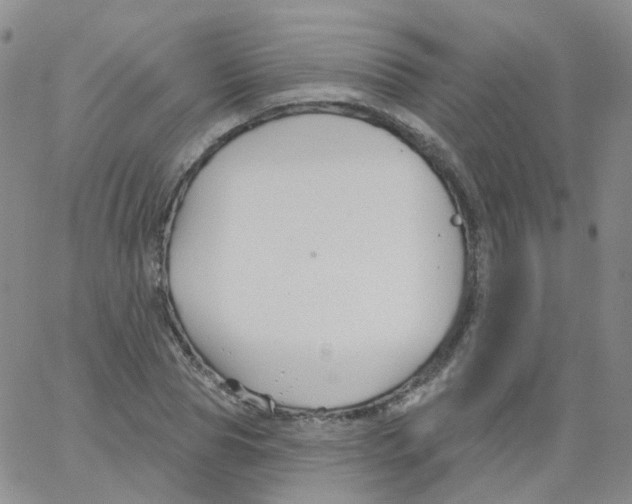 X0000062910929200602101828