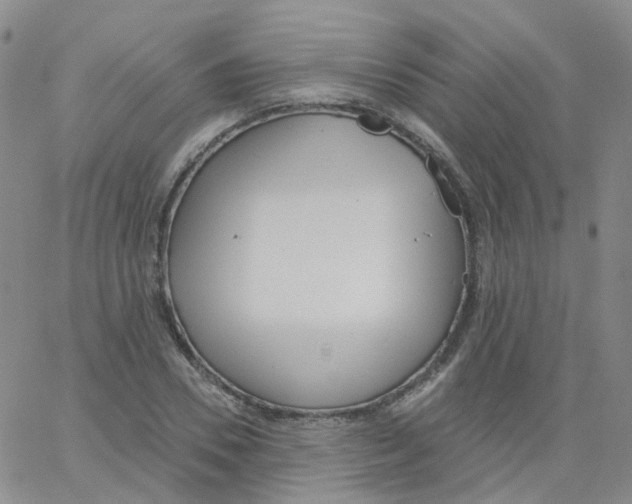 X0000062910930200602101828