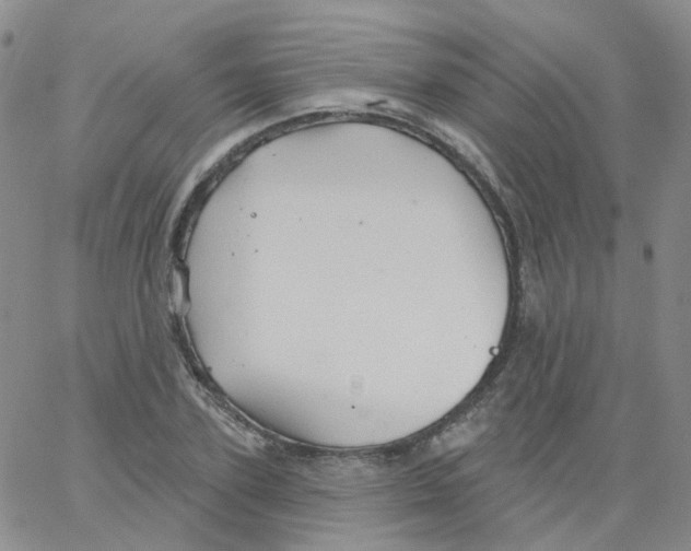 X0000062910931200602101828