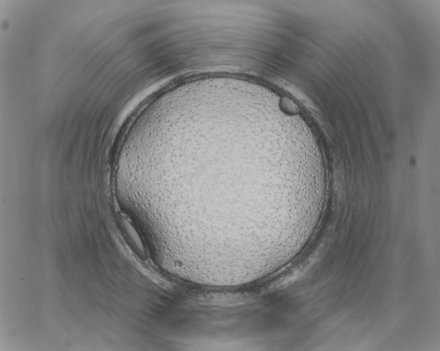 X0000062910933200602101828