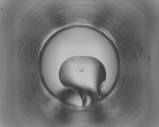 X0000062910934200602101828