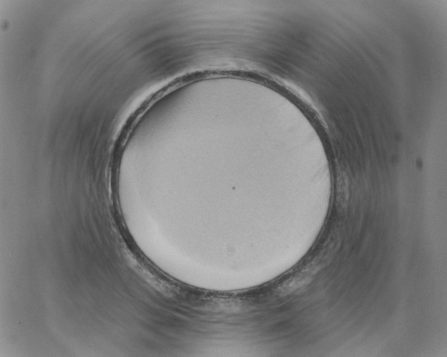 X0000062910935200602101828