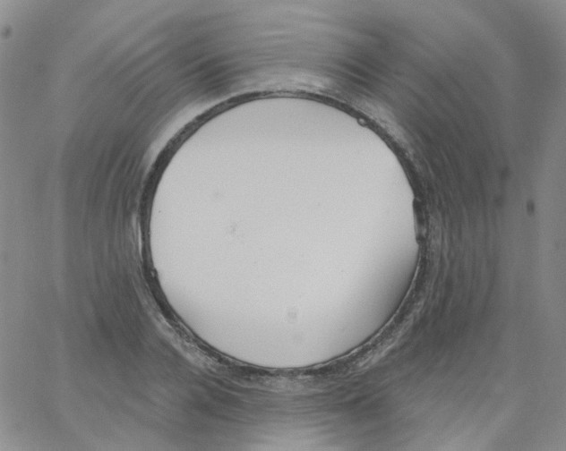 X0000062910936200602101828