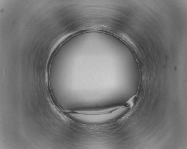 X0000062910940200602101828