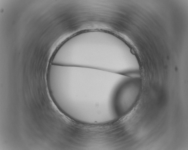 X0000062910943200602101828