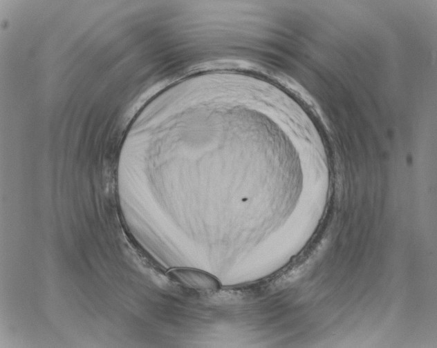 X0000062910945200602101828