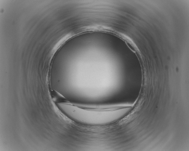 X0000062910946200602101828