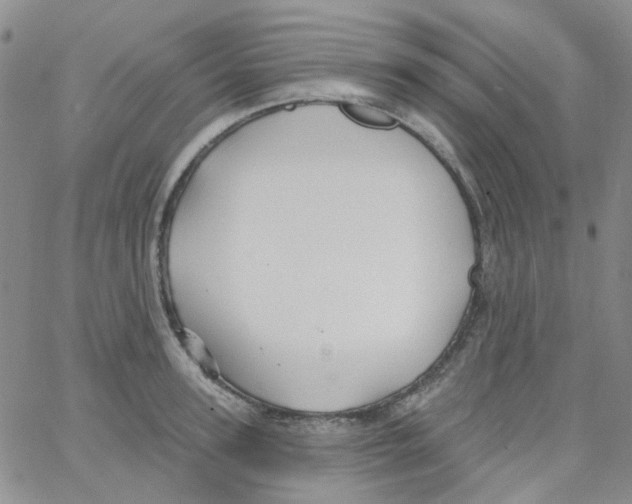 X0000062910947200602101828