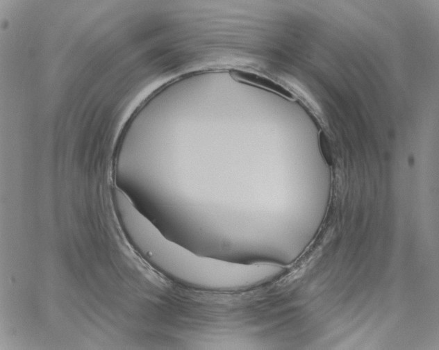 X0000062910948200602101828