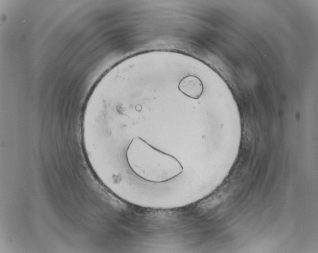 X0000062910950200602101828