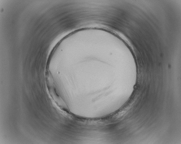 X0000062910951200602101828