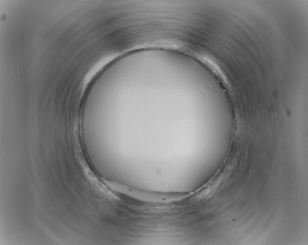 X0000062910952200602101829