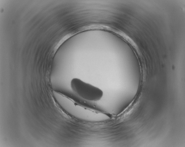 X0000062910953200602101829