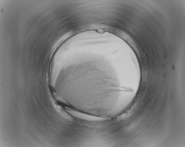 X0000062910954200602101829