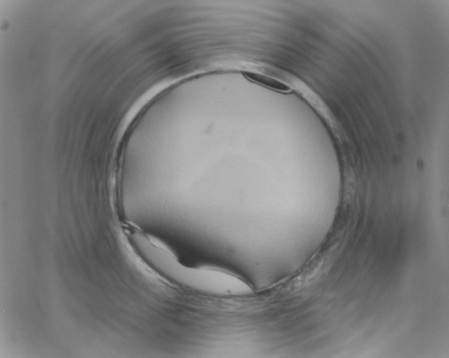 X0000062910955200602101829