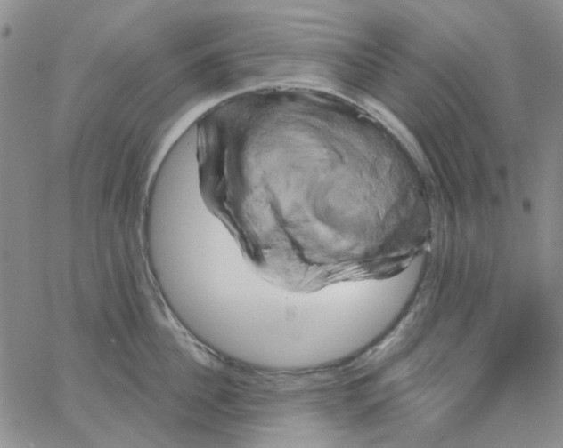 X0000062910956200602101829