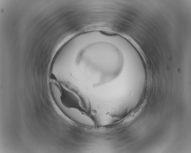 X0000062910957200602101829