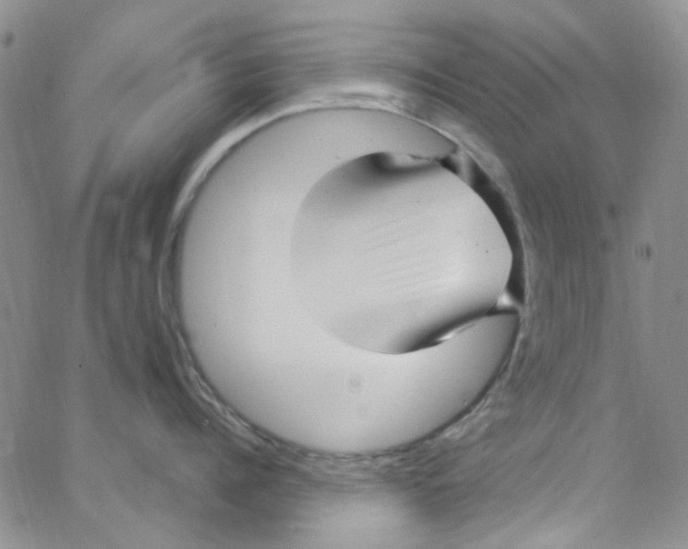 X0000062910960200602101829