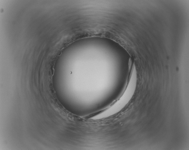 X0000062910961200602101828